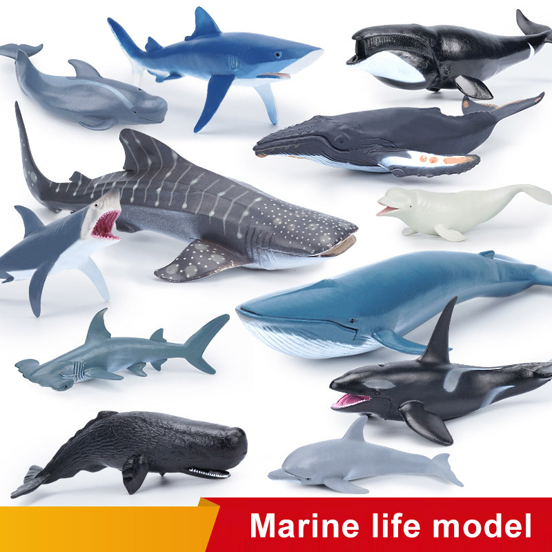 Symulacja morskiego życia morskiego Figurki wielorybów Rekin Cachalot Figurki akcji Ocean Model zwierzęcia Delfin Głowa młotu Zabawki edukacyjne