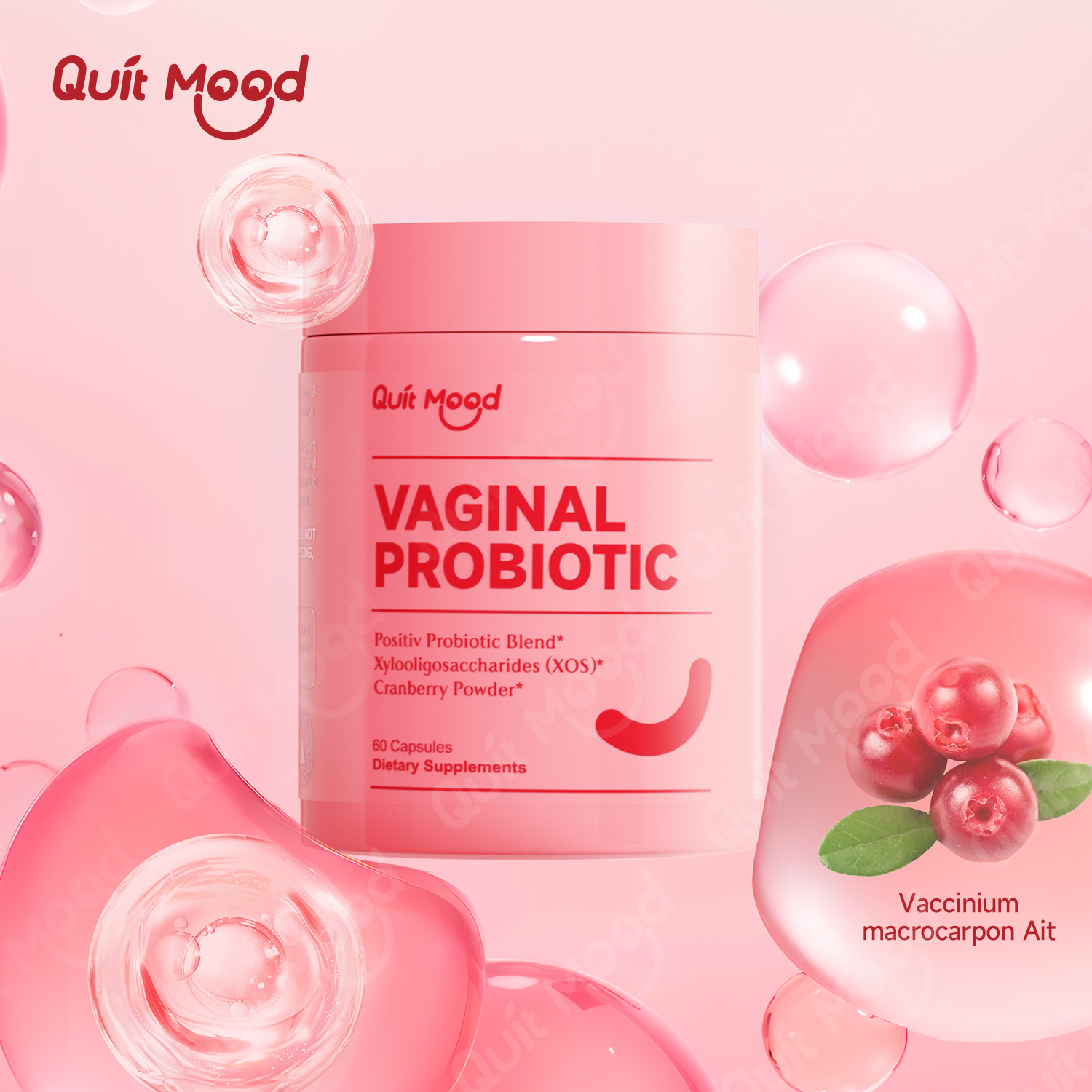 Quitmood Probiotika für Frauen Balance mit Präbiotika, Frauen-Probiotika mit Cranberry-Extrakt, 60 Kapseln Damen-Probiotika S