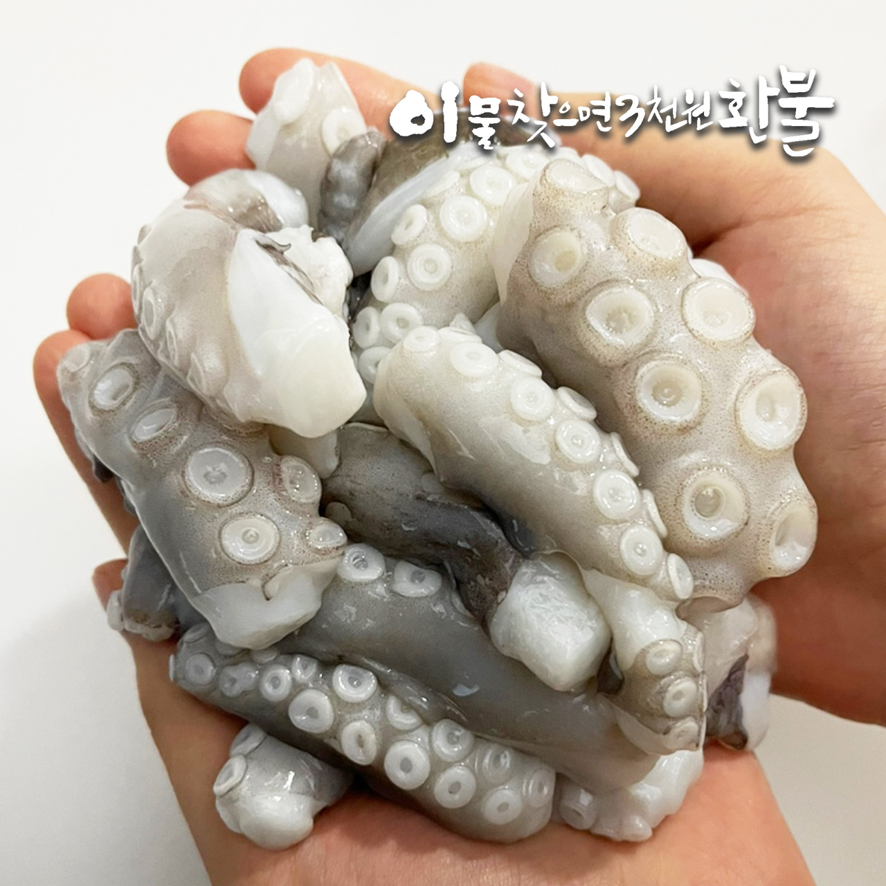 손질 왕특대(XXL) 낙지 1kg(500g×2팩)｜낙지볶음(자갈치비법소스2봉)