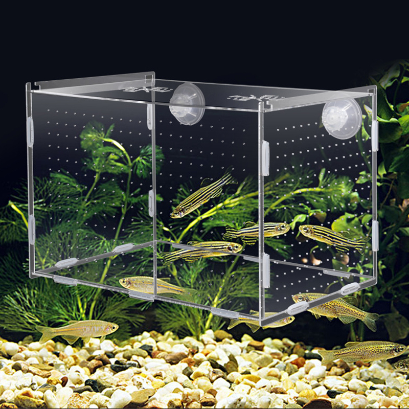 Caixa de isolamento para aquário, tanque de peixes, pequena caixa de reprodução de fritar, multifuncional, sala de incubação, acessórios para aquário, fornecimento de peixes