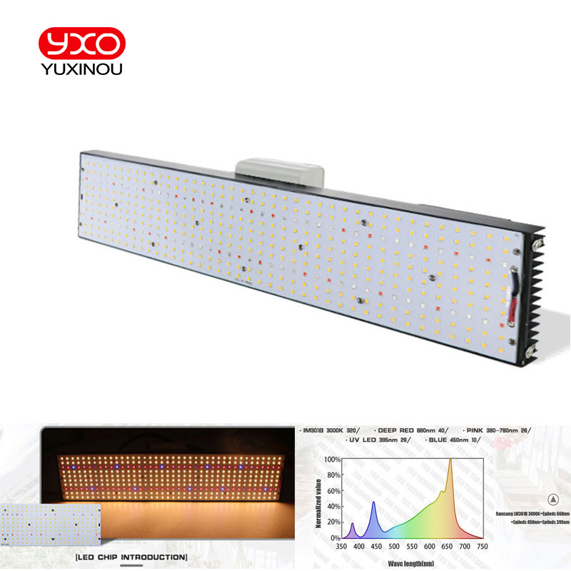 Lampu LED Sam---ng LM301H untuk pertumbuhan tanaman 240W 480W 720W Spektrum Penuh untuk rumah kaca dalam ruangan, tenda tanam, mode Veg Bloom