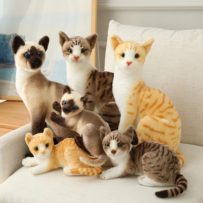 Peluche de chats siamois en peluche, simulation de chats américains courts, jouets pour animaux de compagnie, décoration de maison, cadeau d'anniversaire pour enfants