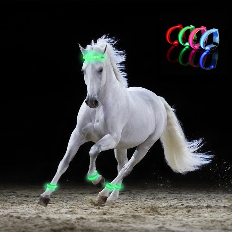 Cinturón de seguridad para patas de caballo con iluminación LED, correas para piernas de caballo, equipo de conducción nocturna, suministros ecuestres para deportes al aire libre, 4 Uds.