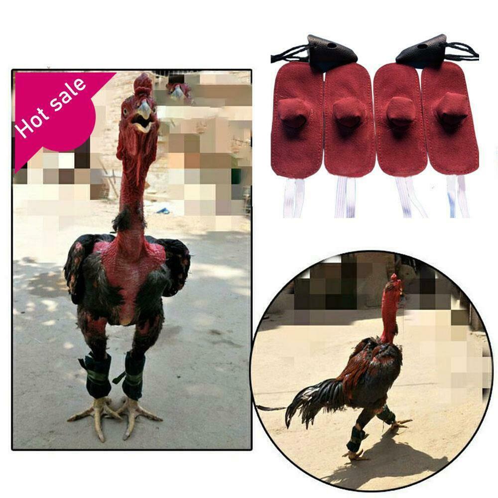 Casco de protección Para gallinero, accesorio Para protección de animales de granja, suministros de gallinero, 4 piezas