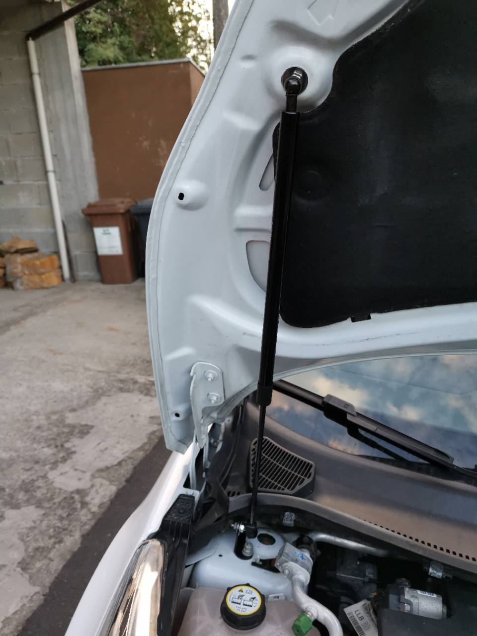 1PC Strut dla Ford Fiesta Mk6 Mk7 2009-2020 Przednia maska silnika Modyfikacja sprężyny gazowej z włókna węglowego Podnośnik Amortyzator