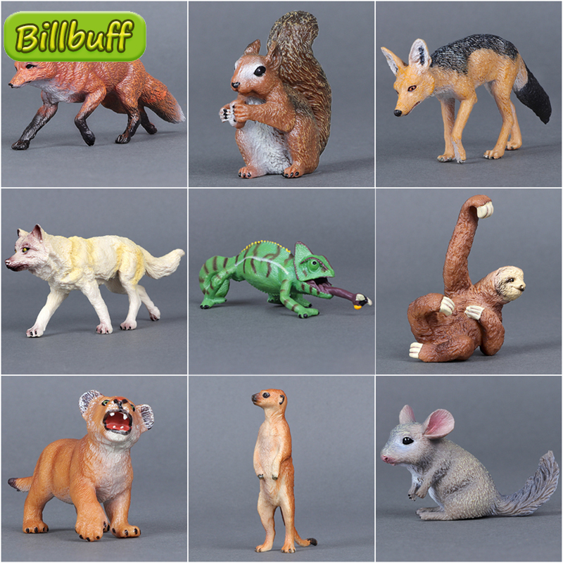 Simulazione Animali Selvatici Zoo Lupo Scimmia Volpe Camaleonte Pangolin Scoiattolo Chinchilla Asino Bradipo Modello Figure ​ Giocattoli educativi