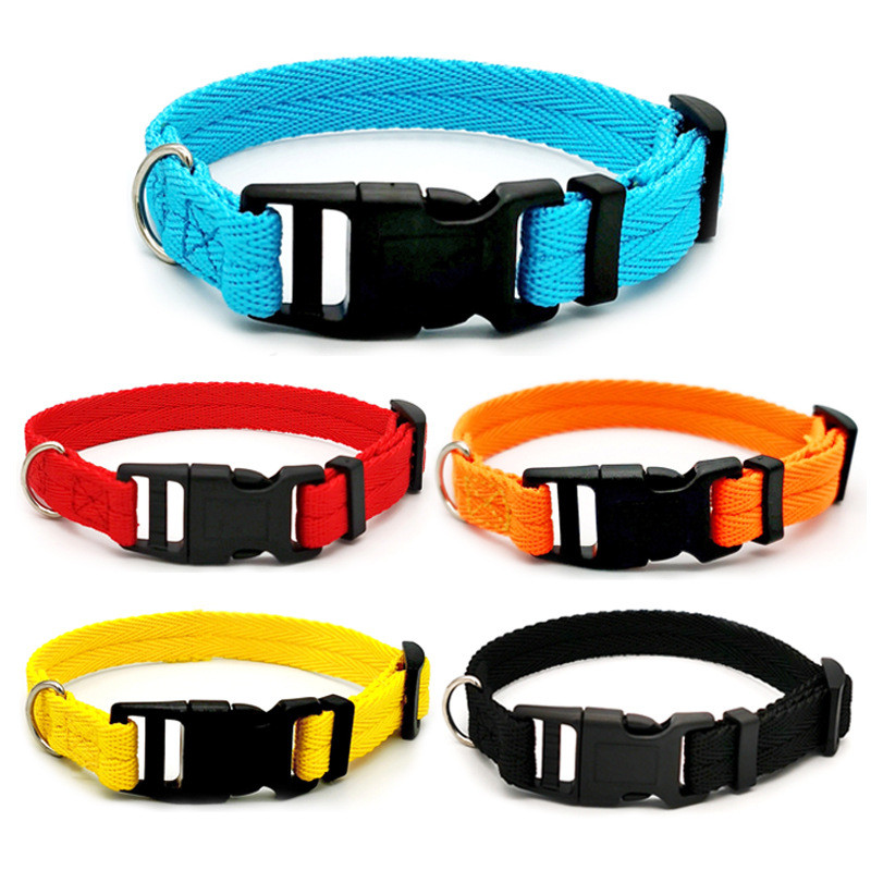 Collier de chien en sangle en Nylon, boucle à la mode, collier pour animaux de compagnie pour petits et moyens chiens Chihuahua, rouge, noir, bleu, Orange, accessoire pour animaux de compagnie