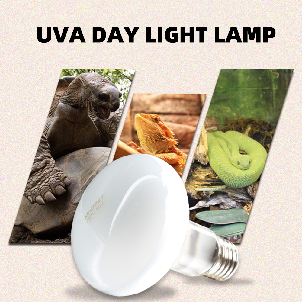 Lámpara calefactora para reptiles UVA + UVB, bombilla calefactora de 220v para tortuga, lagarto, reptil, lámpara de luz diurna para mascotas, acuario con controlador de temperatura