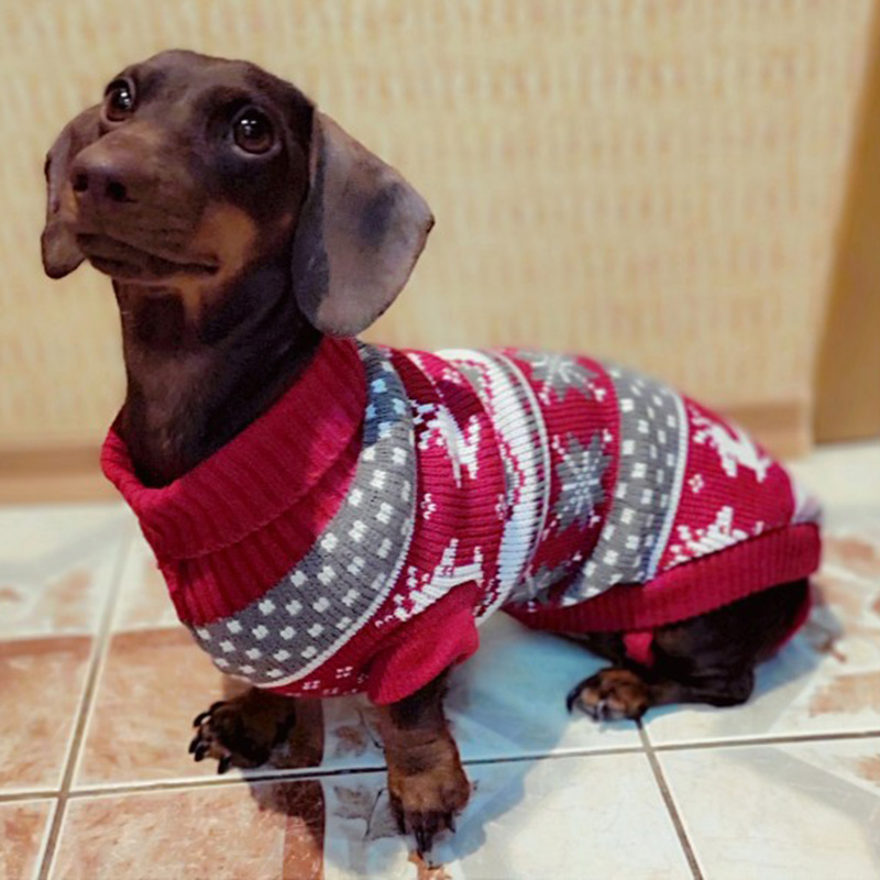 Lindo suéter para perros pequeños, ropa cálida de invierno para cachorros y gatos, jersey para perro salchicha, disfraz de Mascotas, ropa para cachorro