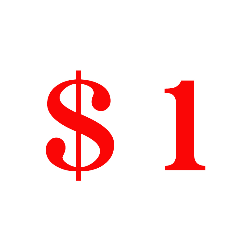 1USD Supplementary Postage/Price Difference Supplementary Postage Fees Other Difference