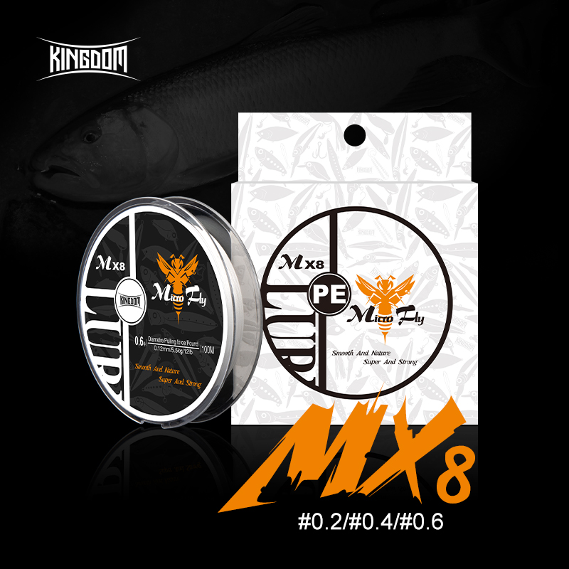Kingdom Micro Fly THINNER Angelschnüre 100 m 4 Stränge geflochten PE Japan Monofilament Set Vorfachschnur für Karpfenangeldraht