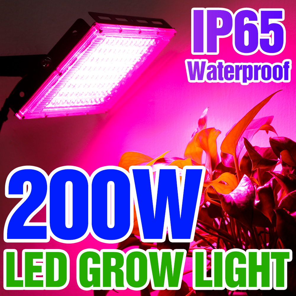 Phytolamp pour plantes lumière 200W Led élèvent la lumière Phyto lampe ampoule à spectre complet lampe hydroponique serre fleur graine grandir tente