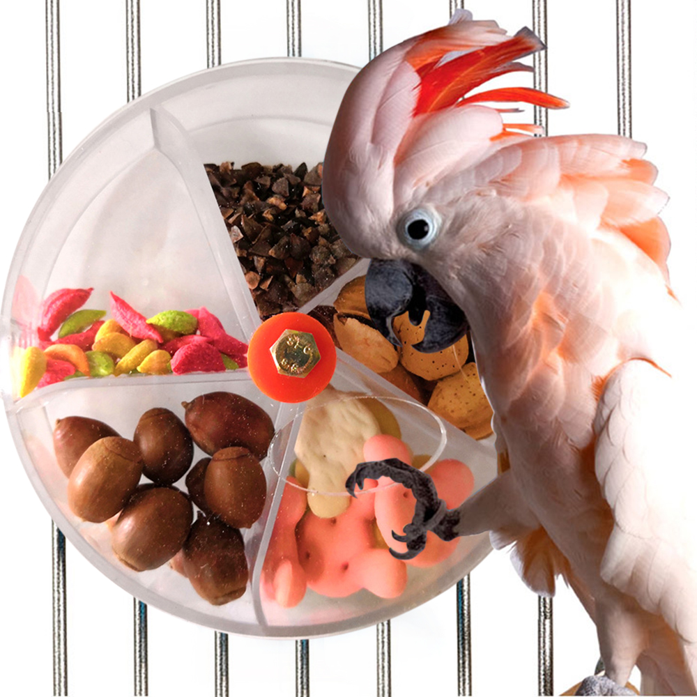 Obrotowa zabawka do żucia dla papug Kreatywna zabawka do żucia dla ptaków w kształcie koła Puzzle dla ptaków Pudełko na karmę Papuga Cockatiel Conure