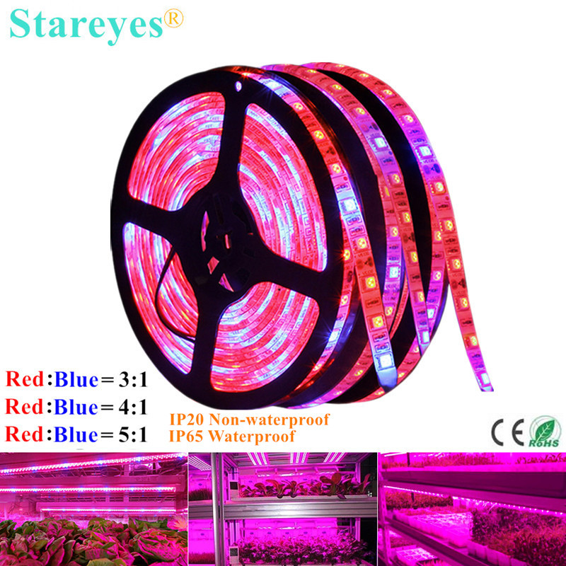 SMD 5050 60LED/m 5m LED bande grandir lumière spectre complet fleur plante Phyto croissance lampe pour serre hydroponique plante croissance