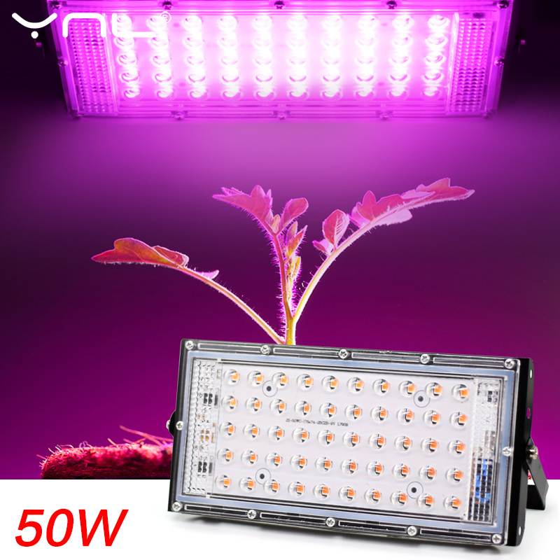 Lámpara de luz LED para cultivo de plantas de invernadero 220V 50W LED de espectro completo foco de plantas hidropónicas para interiores y exteriores