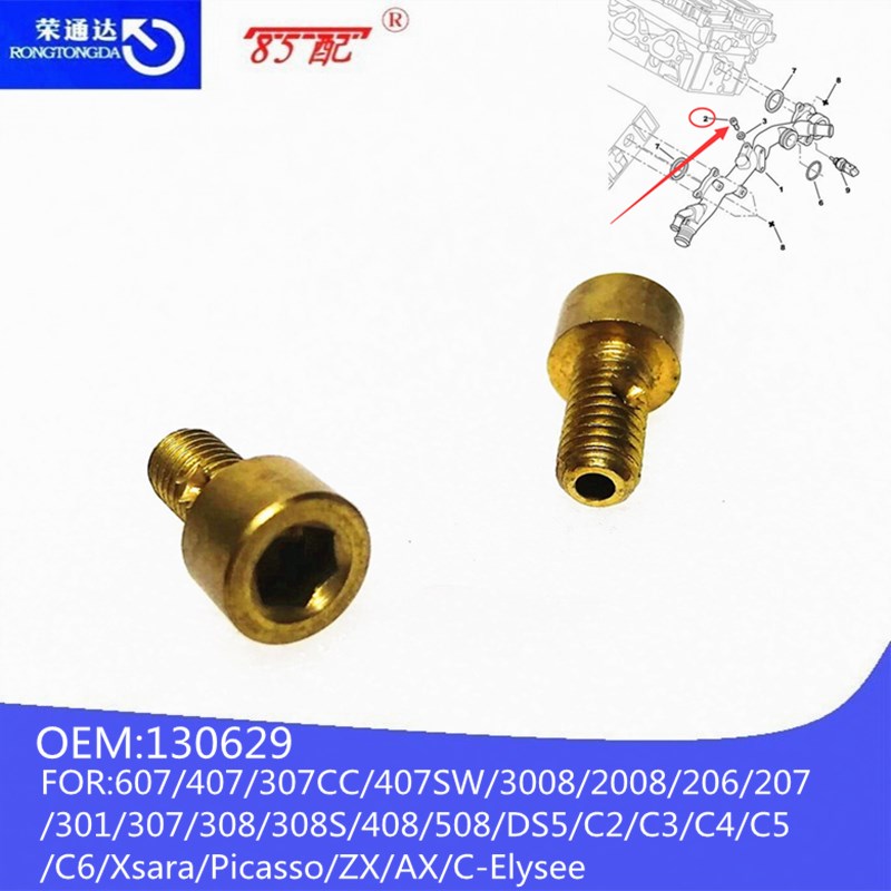 Motorablaufschraube OEM 130629   Größe 6*100-18mm FÜR Peugeot607/407/307CC/407SW/3008/2008/206/207/301/307/308/308S/408/508 CitroenC4