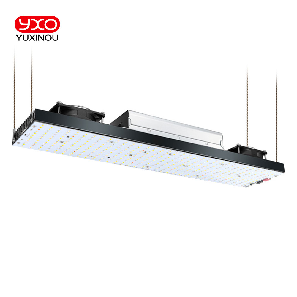 ไฟปลูกต้นไม้ LED Grow Light Growbox Sam-ng LM301H 240W 480W 720W สำหรับปลูกพืชแบบไฮโดรโปนิกส์ ใช้กับเต็นท์ปลูกต้นไม้ โรงเรือนเพาะปลูก สำหรับการเจริญเติบโตและการออกดอก