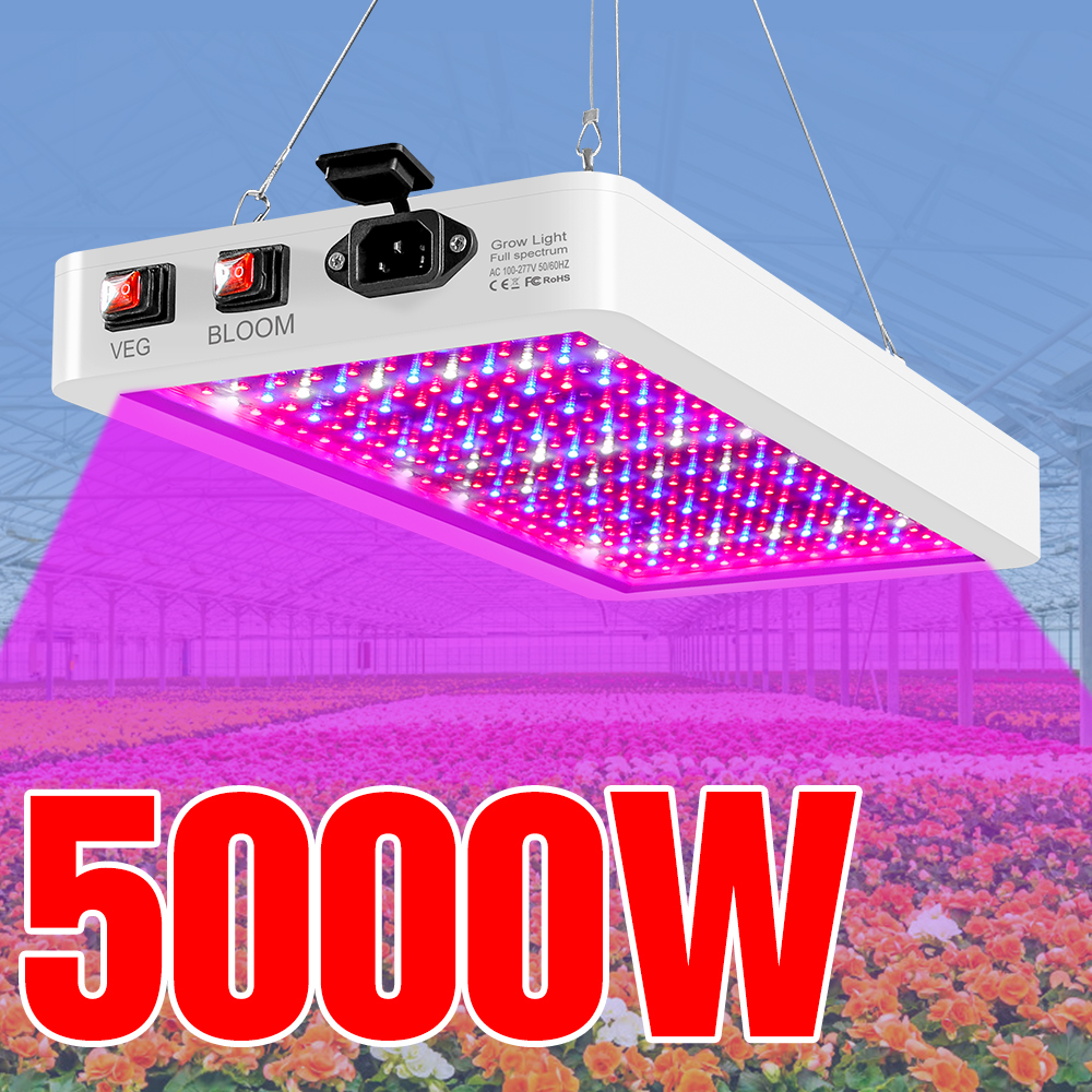 5000W Quantum Board LED Wachsen Licht Phyto Lampe Volle Spektrum LED Pflanzen Birne Innen 4000W Phytolamp Für blume Sämling Fitolamp