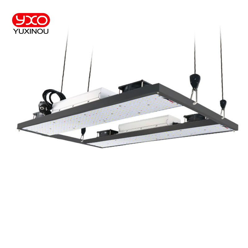 Sam-sungLM301H LED élèvent le conseil de la lumière V3 avec le conducteur de Meanwell 240W 480W 720W 3000K/3500K 660NM UV IR Growbox pour la floraison végétale de plantes