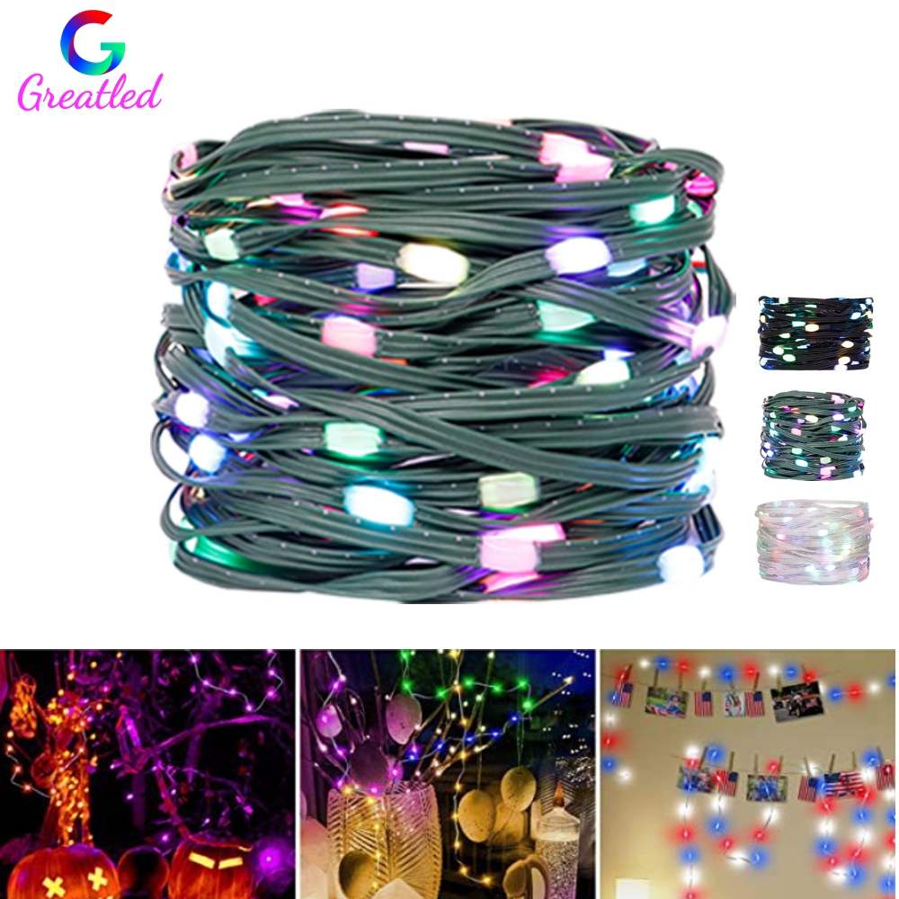 WS2812B RGB LED Cadena DreamColor Navidad cumpleaños luz direccionable individualmente 10Leds/m cable de luz Flexible impermeable IP67