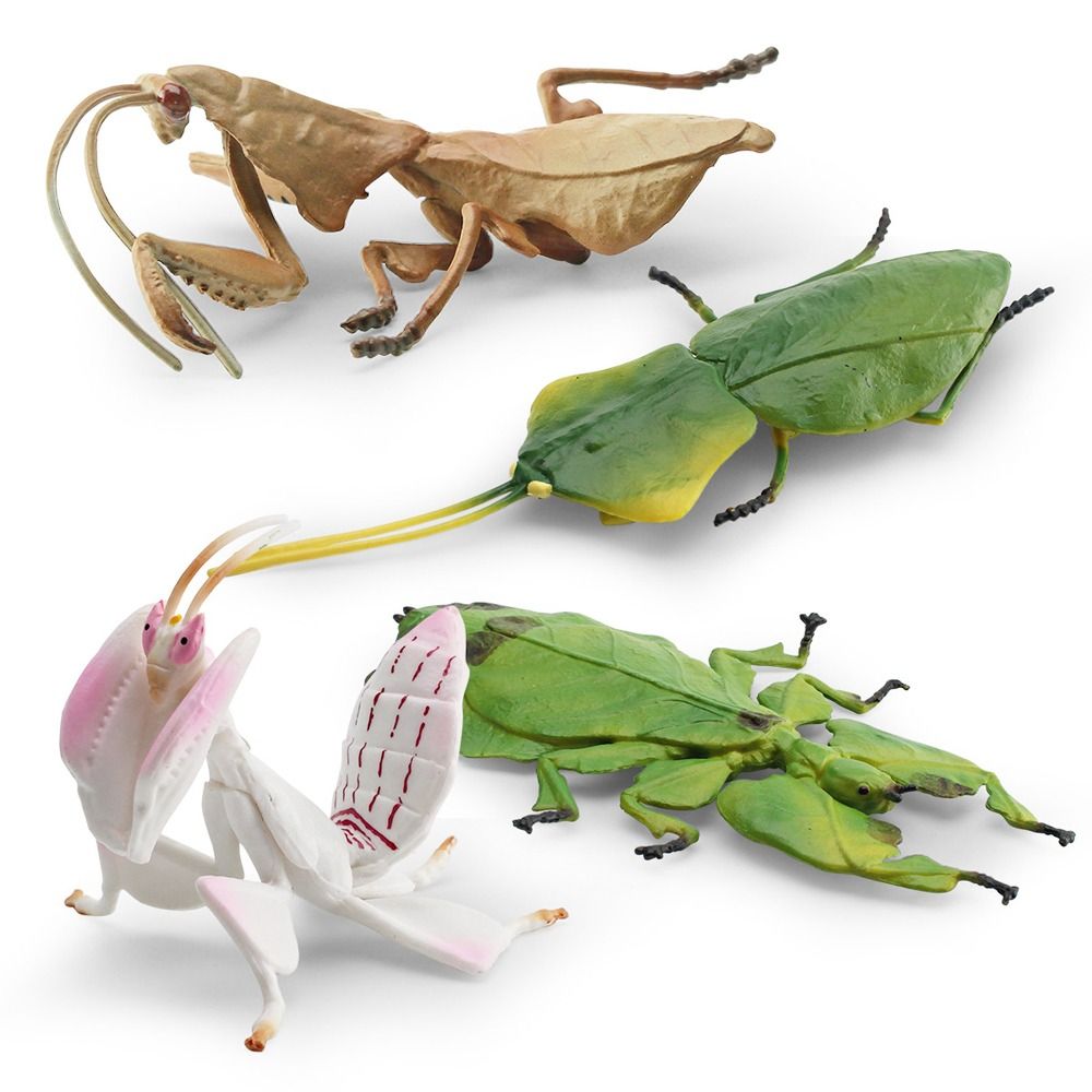 Symulacja owada Model zwierzęcia Deroplatys Desiccata orchidea kwiat богомол figurki edukacja poznawcza pomoce nauczycielskie zabawki
