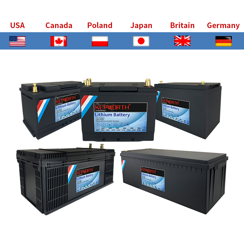 12V 24V 100Ah 120Ah 135Ah 300Ah LiFePO4 Lithium-ijzerfosfaat Batterij Met BMS Voor Golfkar EV RV Zonne-energie Trolling Motor