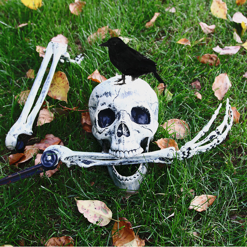 Czaszka Szkielet Głowa Ramię Straszenie Halloween Rekwizyt Realistyczna Czaszka Dom Ogród Halloween Impreza Dekoracja Zewnętrzna Nawiedzony Dom Wystrój