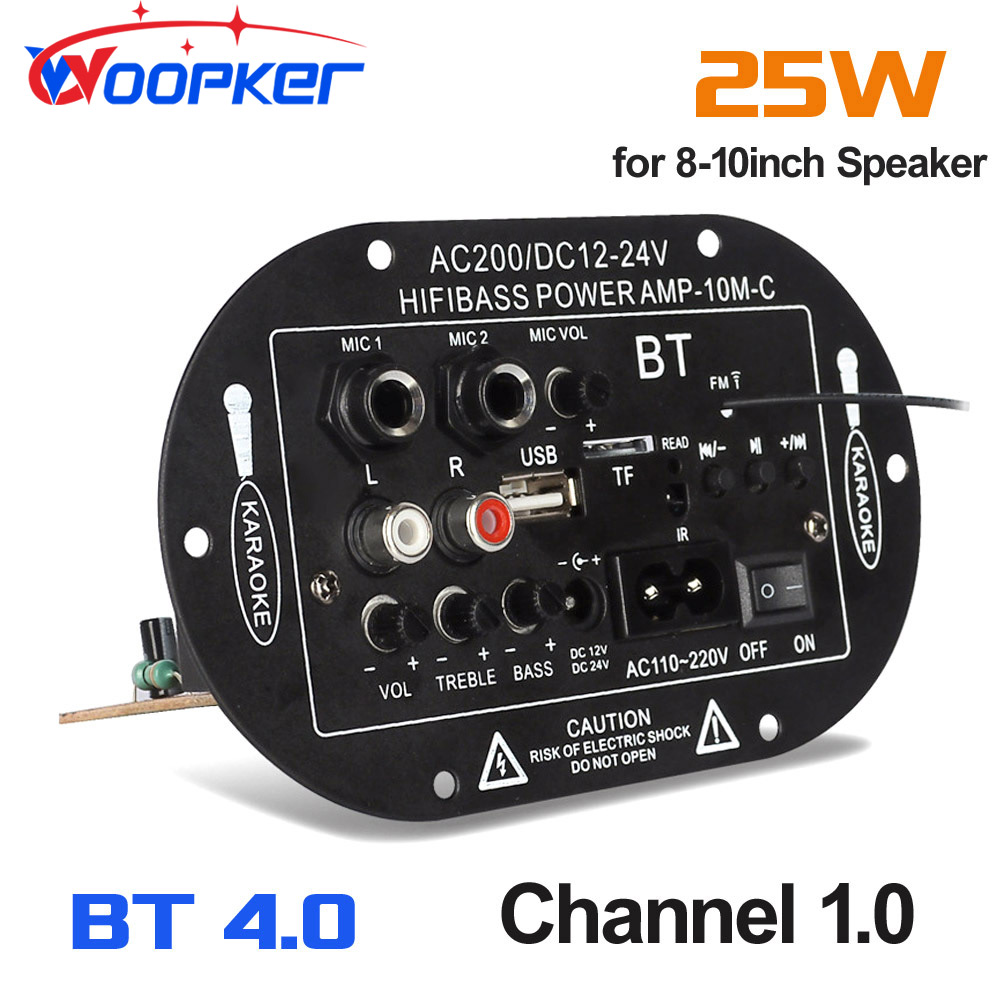 Woopker цифровой Bluetooth стерео усилитель плата сабвуфер двойной микрофон караоке для 8-10 дюймов динамик 110 В 220 В 12 В 24 В