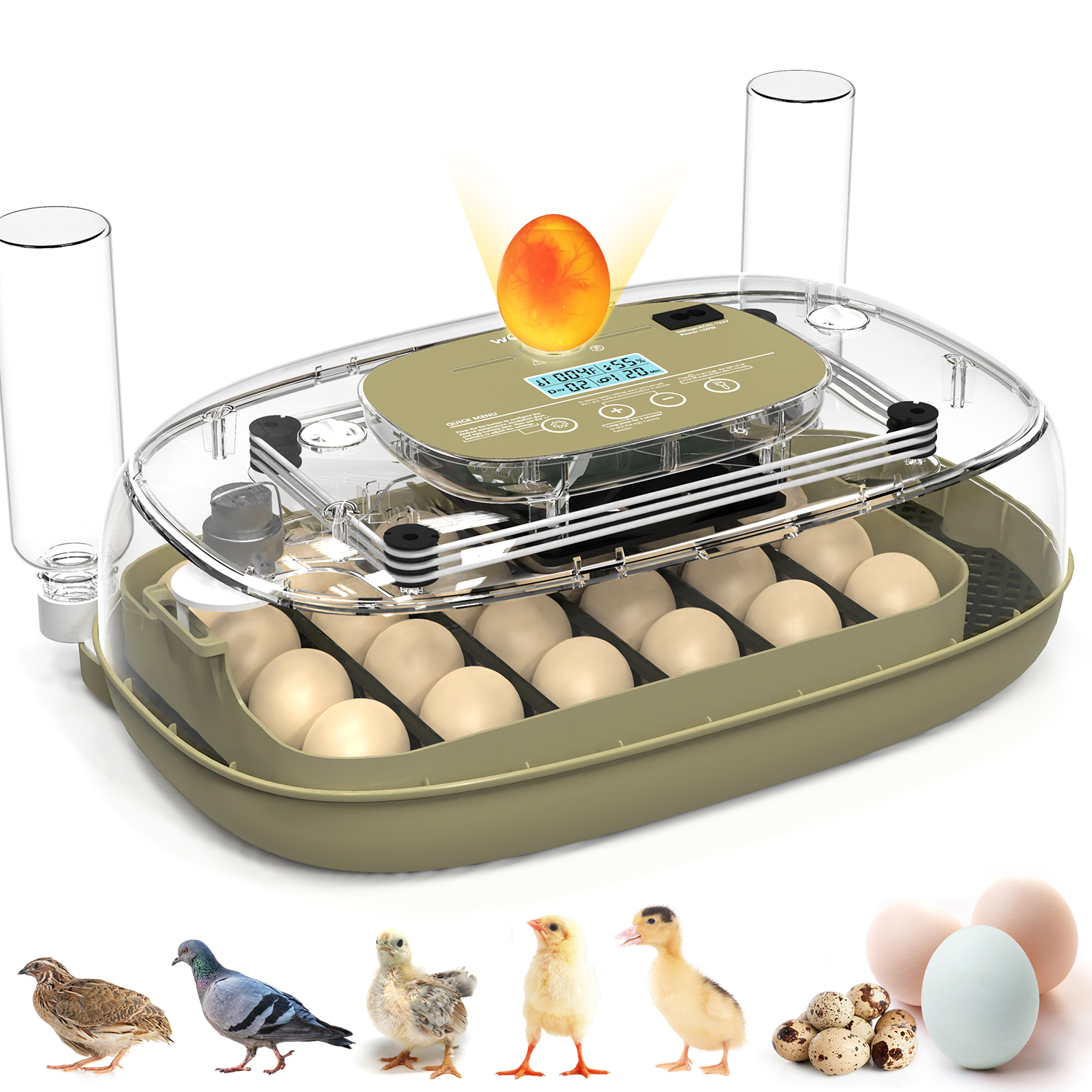 24 Eggs Incubator For Hatching Eggs, Temp And Humidity Display, 360°View Auto Water Adding, Egg Candler Egg Turning Countdown Ha
