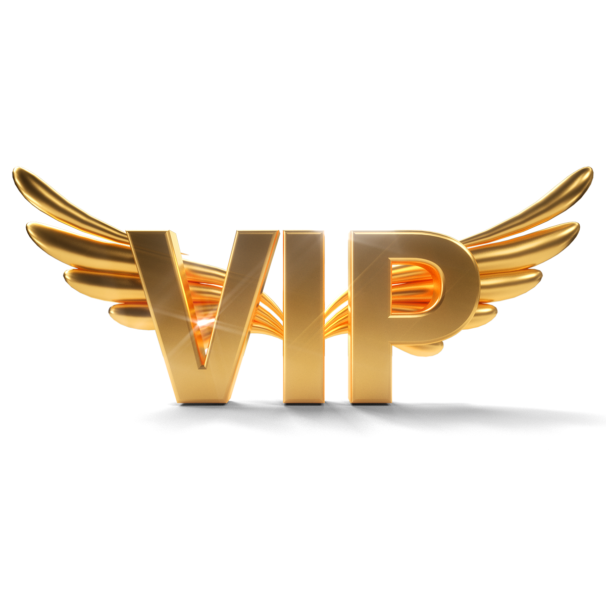 O enlace de pago de flete VIP