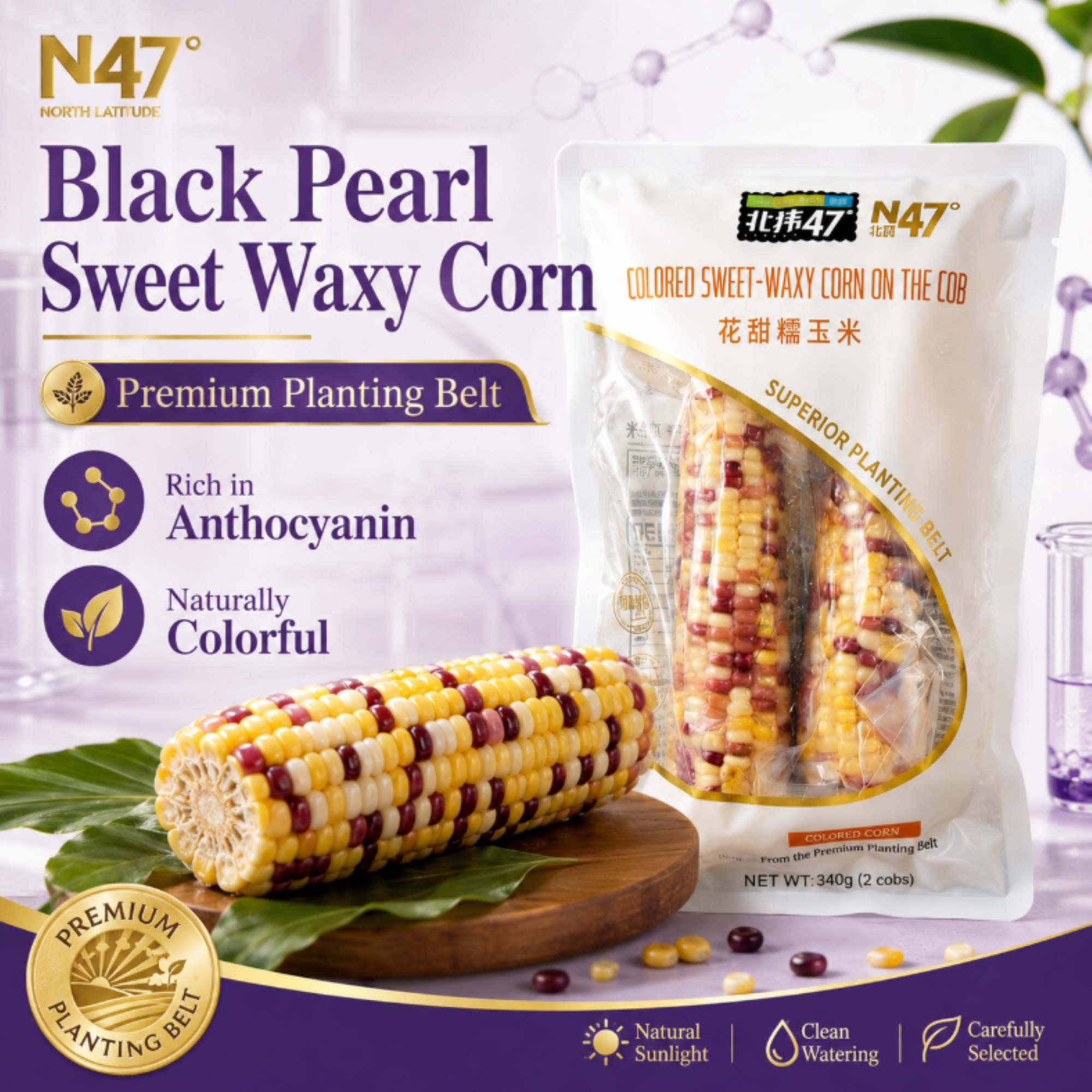 Maíz Glutinoso Premium Surtido Sin OMG, Sabores Dulces y Tiernos Maíz fresco en cobros sellado al vacío, un delicioso bocadillo masticable para cualquier momento.