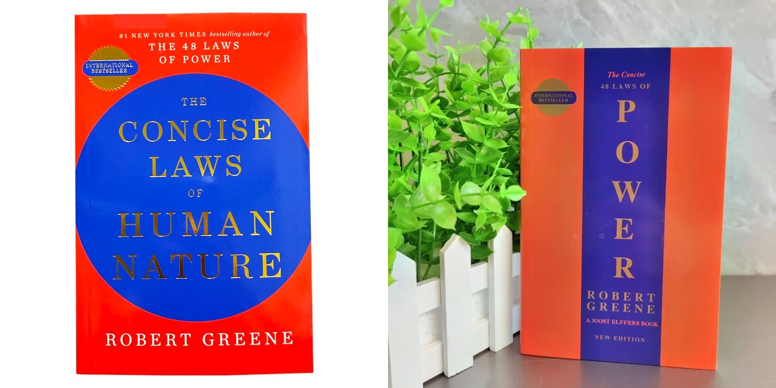 As 48 Leis Concisas do Poder, Livro em Inglês de Robert Greene, Liderança Política, Filosofia Política, Livros de Motivação 16k