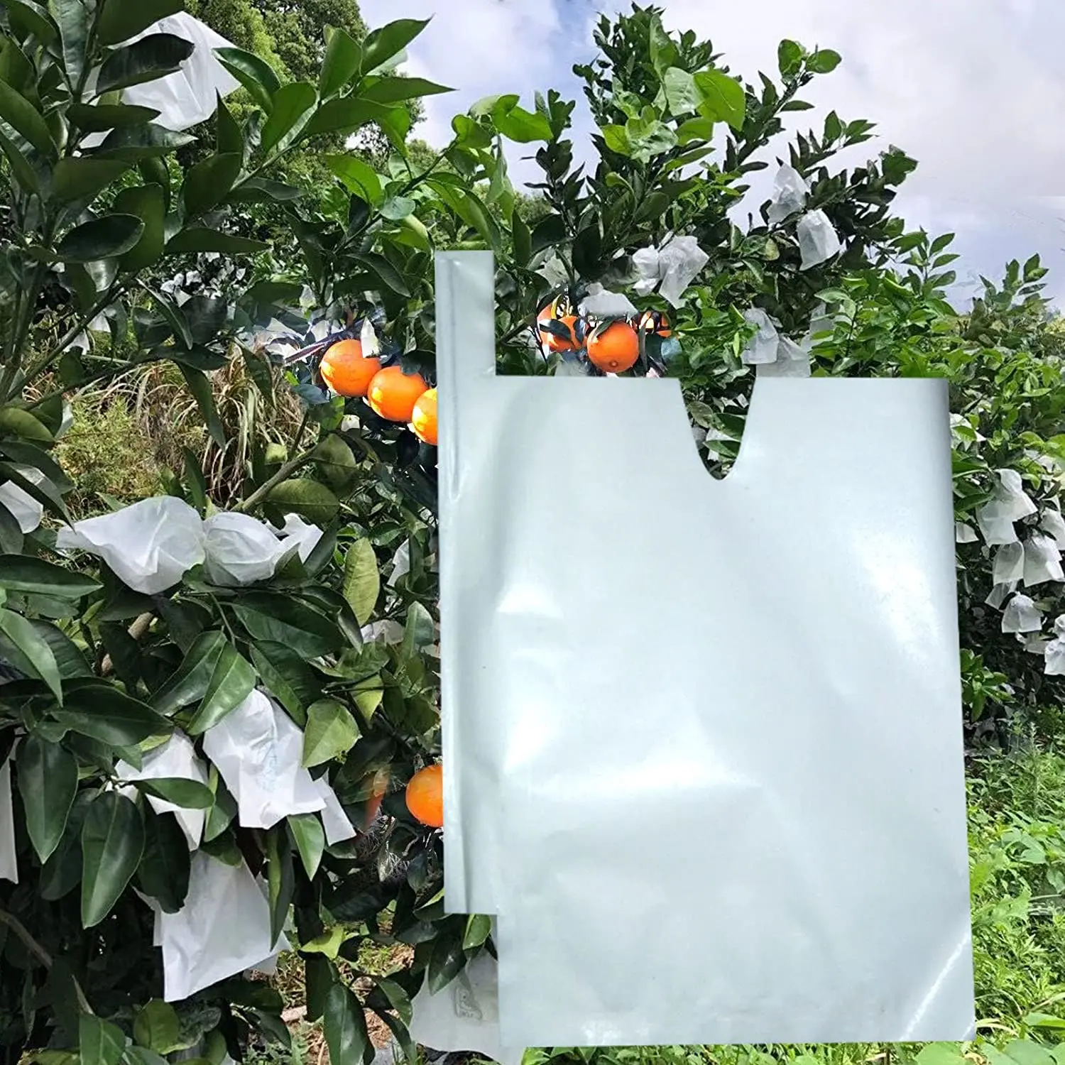 Sacchetti di carta per protezione della frutta da 100 pezzi per sacchetti di carta per uva pesca contro insetti sacchetto impermeabile per il controllo dei parassiti