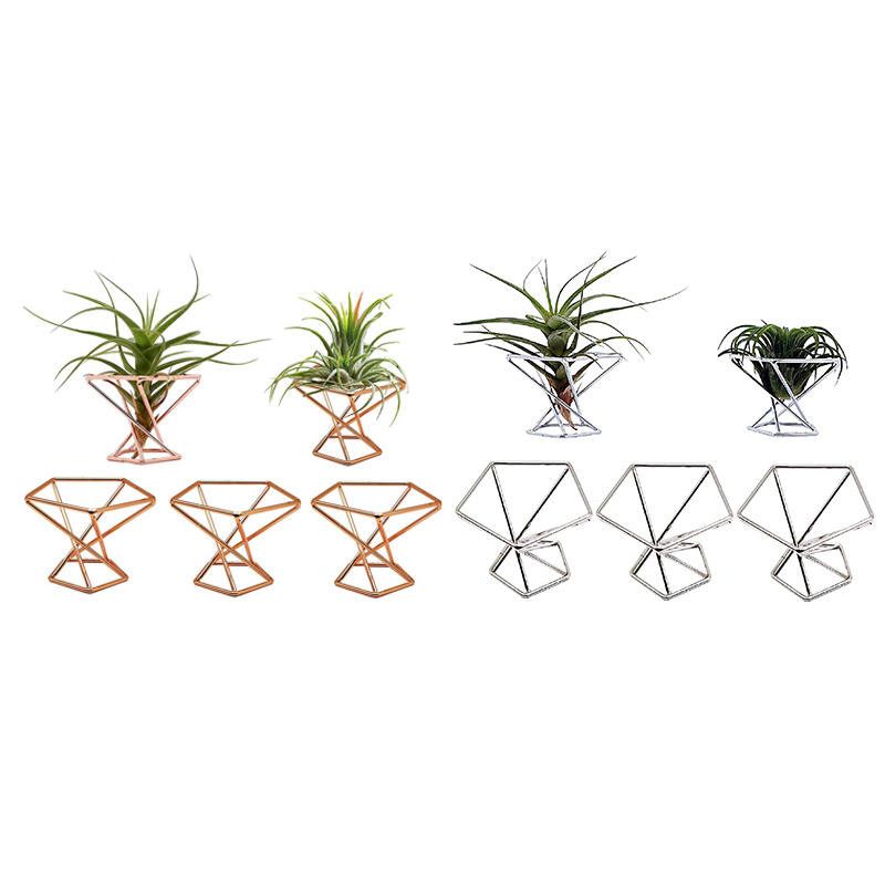 Tillandsias 디스플레이 에어 플랜트 홀더, 공기 정화 플랜트 컨테이너, 에어 펀 스탠드, 팩 5