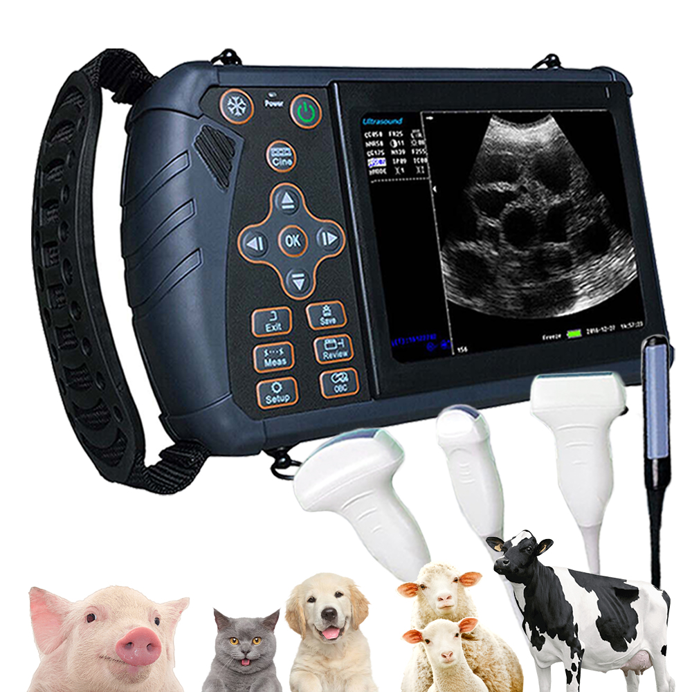 Escáner de ultrasonido veterinario portátil, máquina de embarazo b-ultra veterinaria portátil (B, BB, 4B, B + M, M) para cerdo, oveja, ganado, caballo, perro