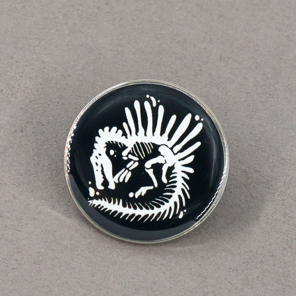 Skull Dinosaur Fossiil Button Badge Ancient Creatures Spinosaurus Skeleton Brooch