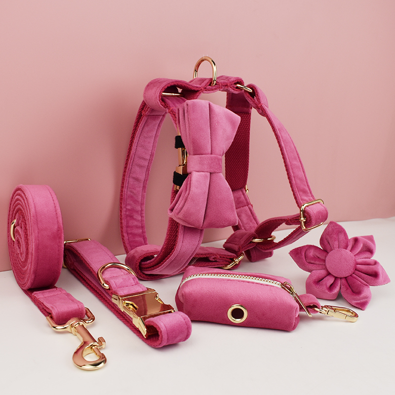 Rose Red Velvet hondenhalsband en riemset voor honden Op maat gegraveerd naamplaatje Dierbenodigdheden Hondenriem Velvet23