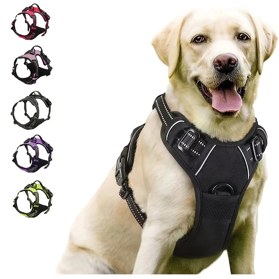 Collari per cani, pettorine, guinzagli, accessori in pelle per cuccioli, set per cani di taglia media e piccola - Tutto per animali domestici