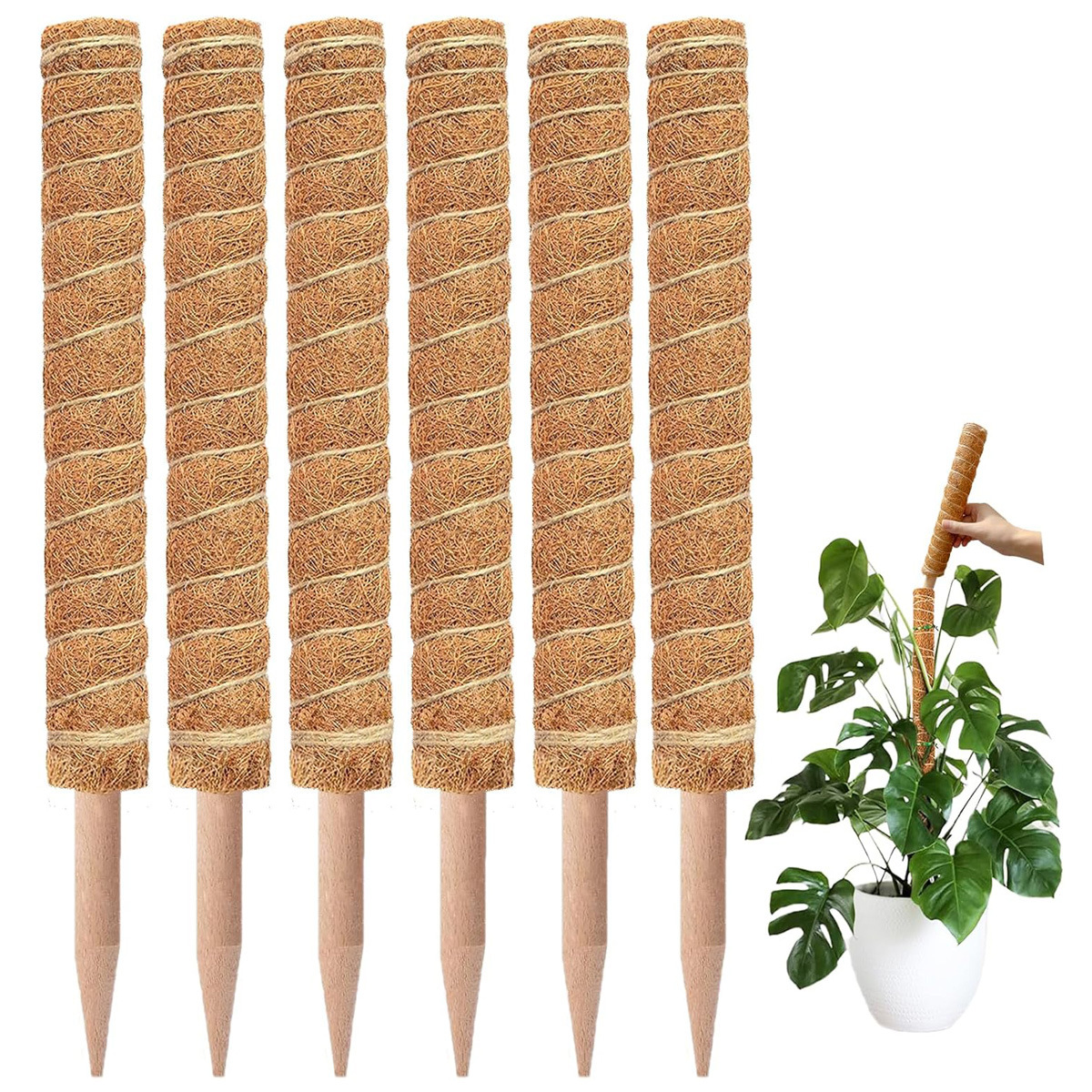 Grenzüberschreitender Garten-Kokosnussstab: Grüner Topf-Pflanzenhalter, Kletterhilfe für Blumen, Kokosnuss-Kletterstab, Moosstab, 1 Stk.