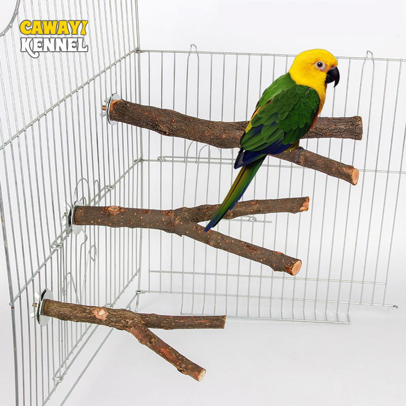15/20/30 centimetri di Legno Naturale Pet Pappagallo Legno Grezzo Forchetta Ramo di Albero Del Basamento Cremagliera Scoiattolo Uccello Criceto Ramo Perchie Masticare Giocattolo StickD9091