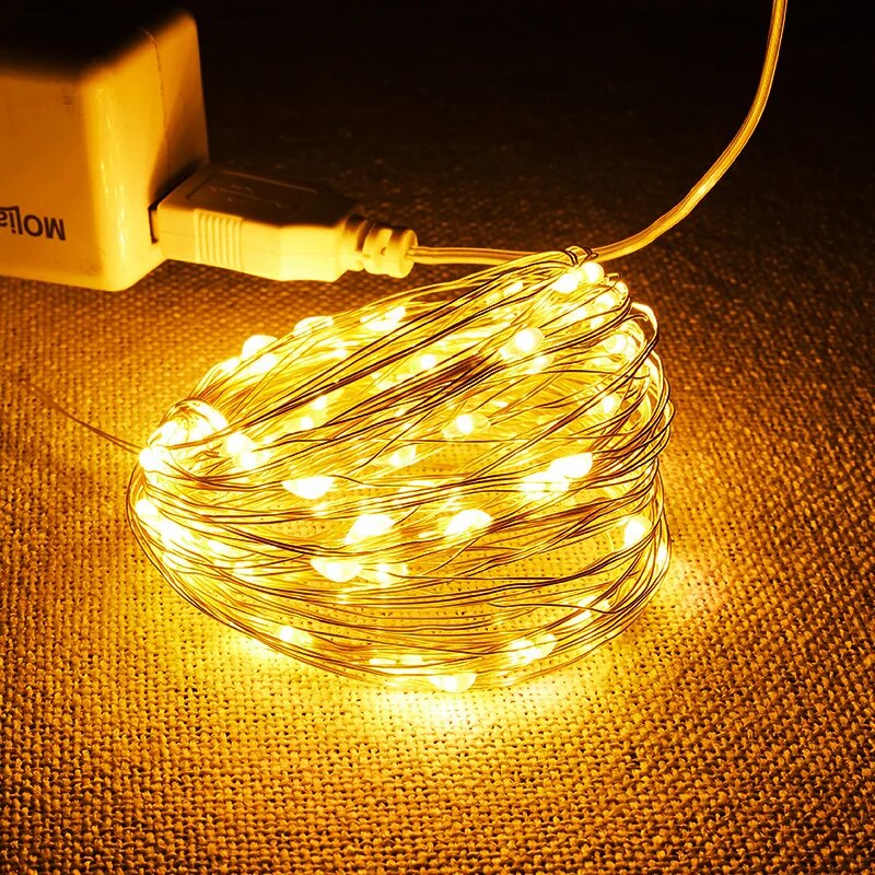Usb Led String Lights 5M Zilver Draad Slinger Licht Waterdicht Sprookjesachtige Verlichting Voor Kerst Bruiloft Vakantie Feest Decoratie