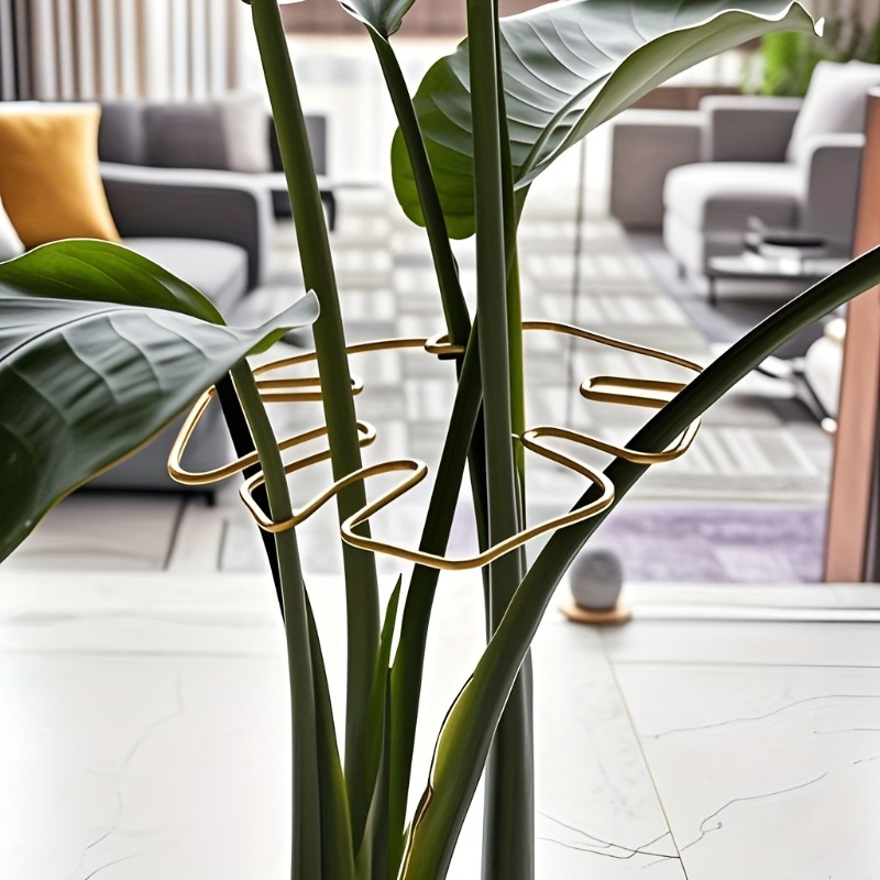 Support de tige de plante, stabilisateur Monstera Durable, entraîneur de plantes grimpantes en métal, jardin décoratif, Support idéal pour la croissance des plantes