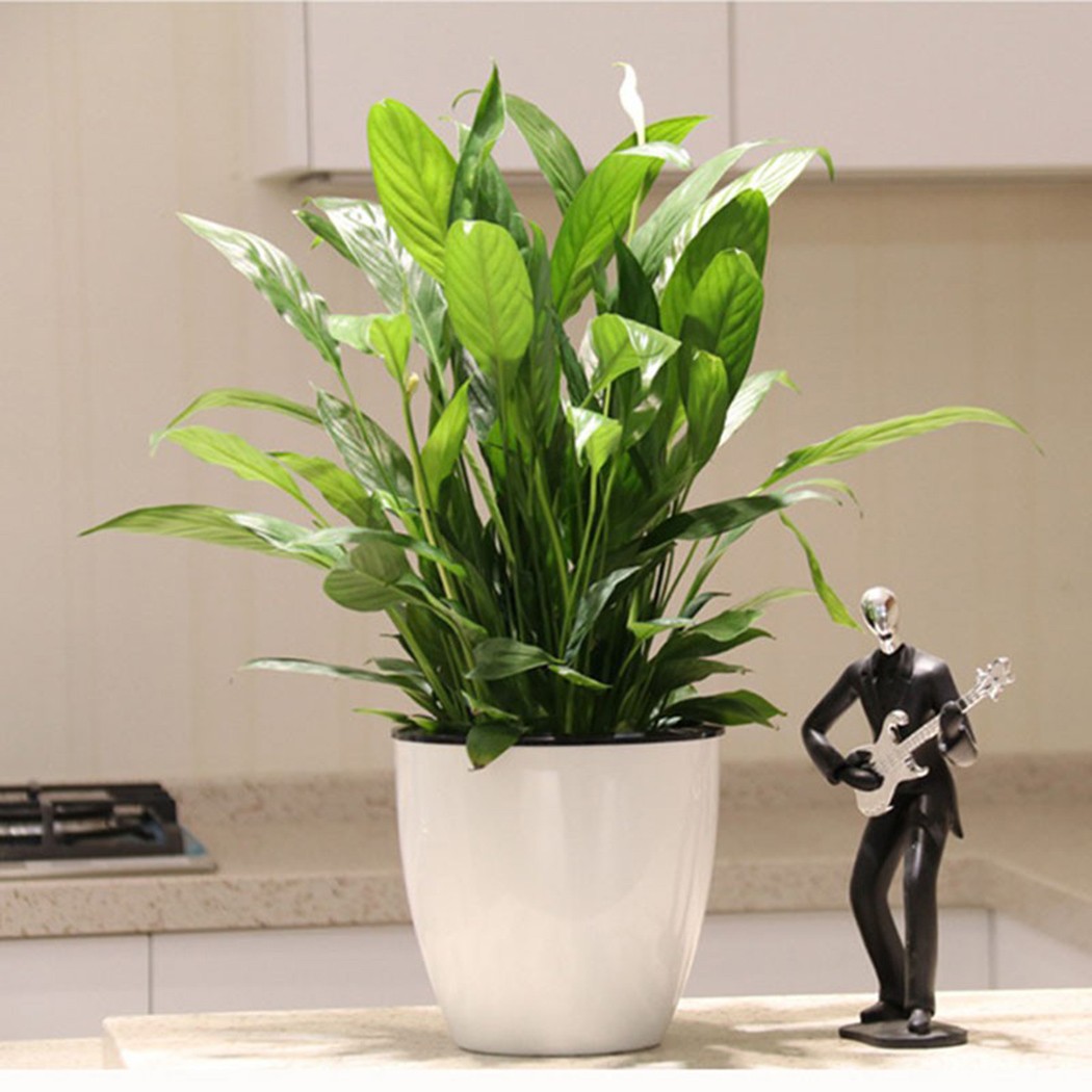 Lazy Imitation Porcelain Flowerpot, vaso de plástico auto rega, hidropônico, série, 6 tamanhos disponíveis para seleção, 1 conjunto