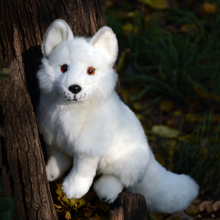 Arctic Fox High Fidelity อะนิเมะน่ารัก Plushie สีขาว Polar Fox ของเล่นตุ๊กตาสัตว์ที่มีชีวิตชีวาจำลองตุ๊กตาตุ๊กตาของเล่นของขวัญเด็ก