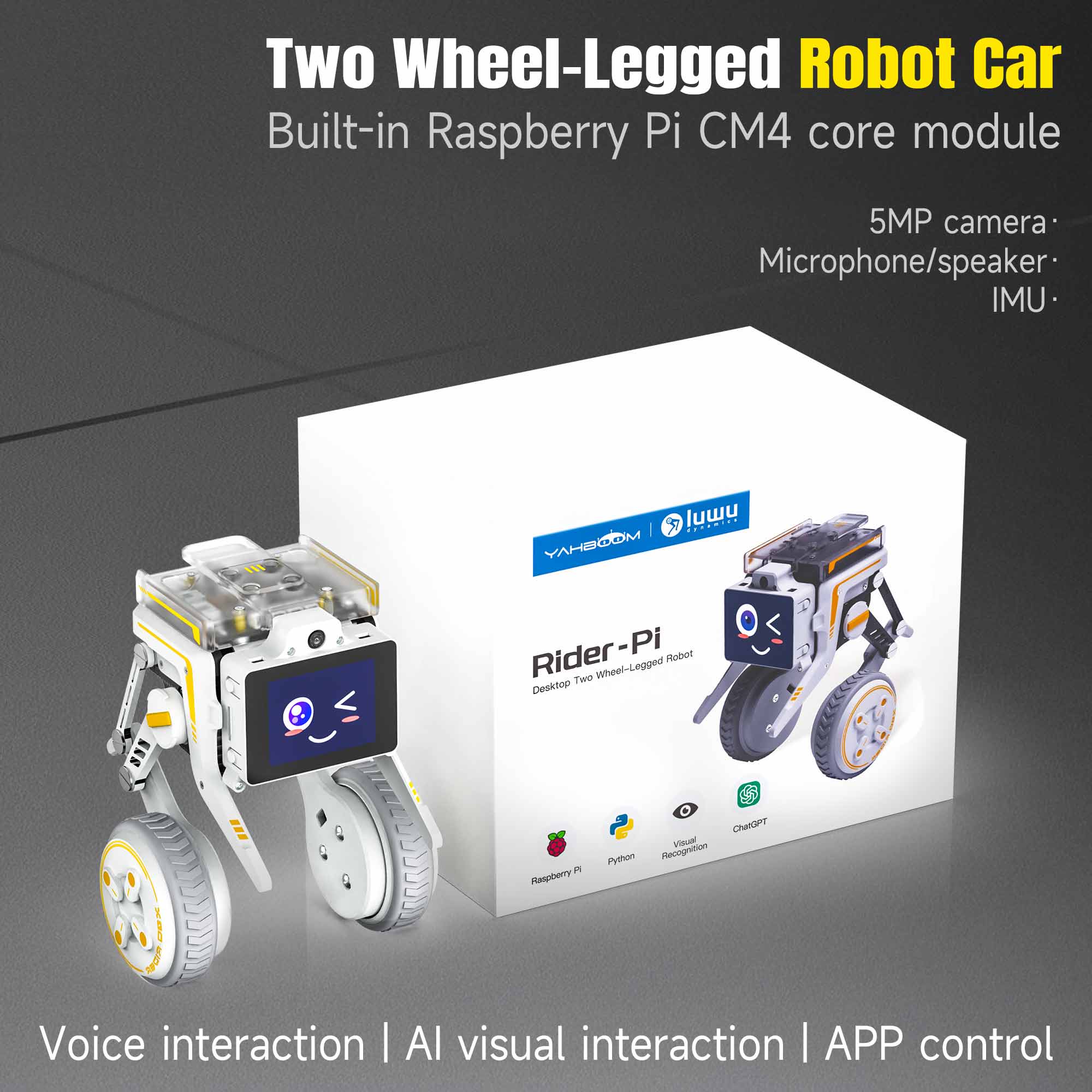 Rider-Pi AI Visual Robot Двуколесные умные игрушки-автомобили с модулем IMU Поддержка программирования на Python ChatGPT Голосовое взаимодействие