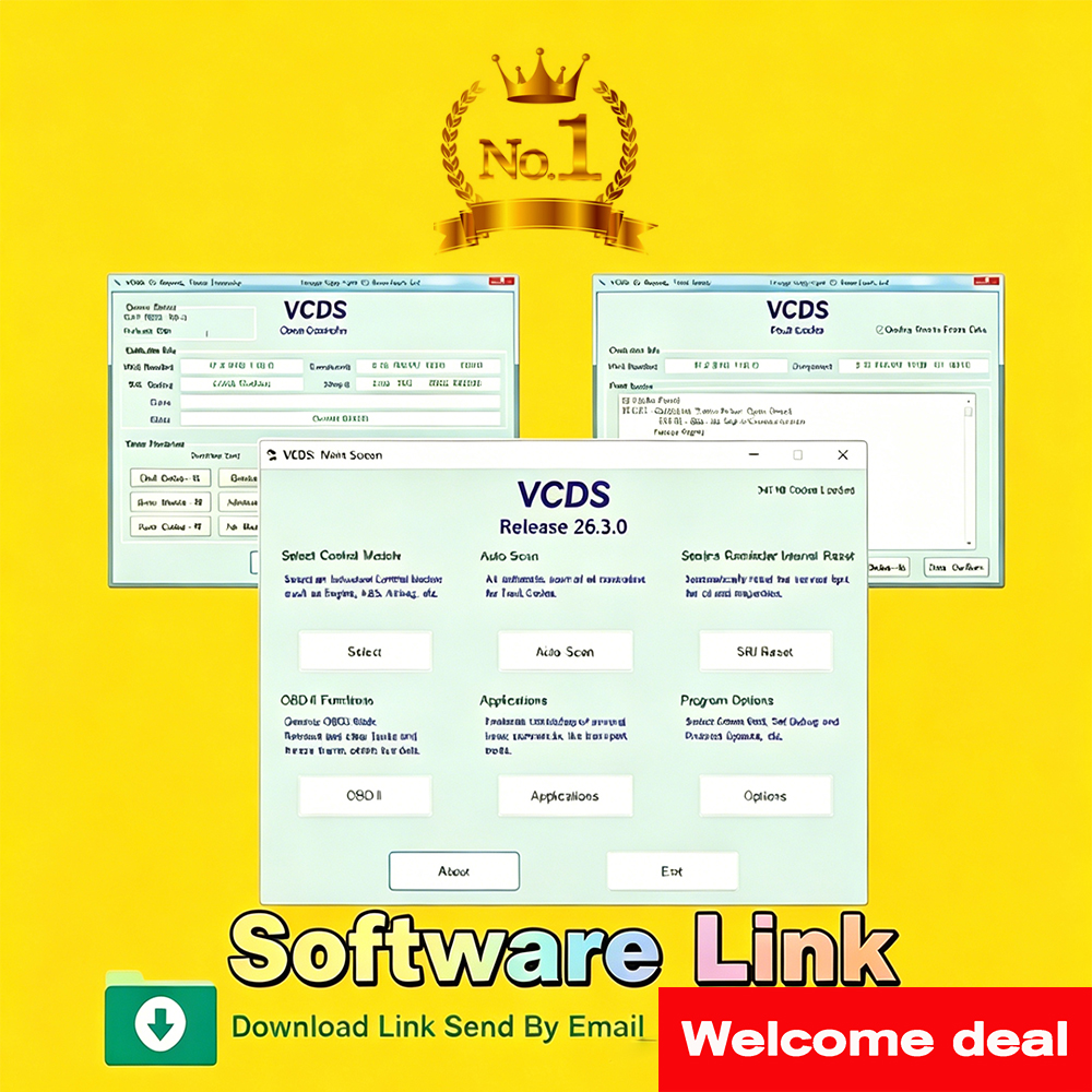 Aktualizacja oprogramowania VAG-CO M OBD2 Scanner HE X V2 Interfejs USB do VW AUDI Skoda Seat Nieograniczona liczba VIN Atmega162 Wielojęzyczne VCD-ki