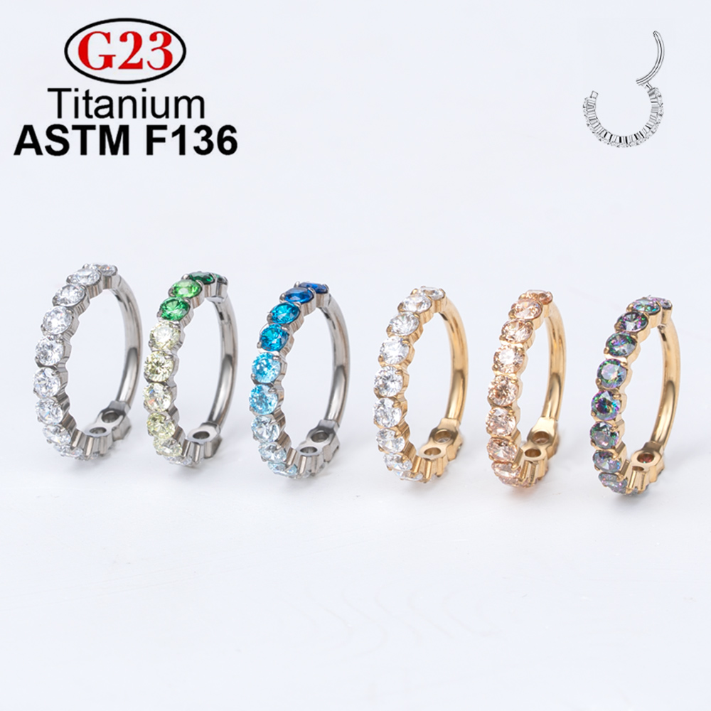 ASTM F136 Titanium Earring Hoop CZ Hinged Segment Round Nose Ring for Women Ear Tragus Cartilage Helix Daith Piercing Jewelry