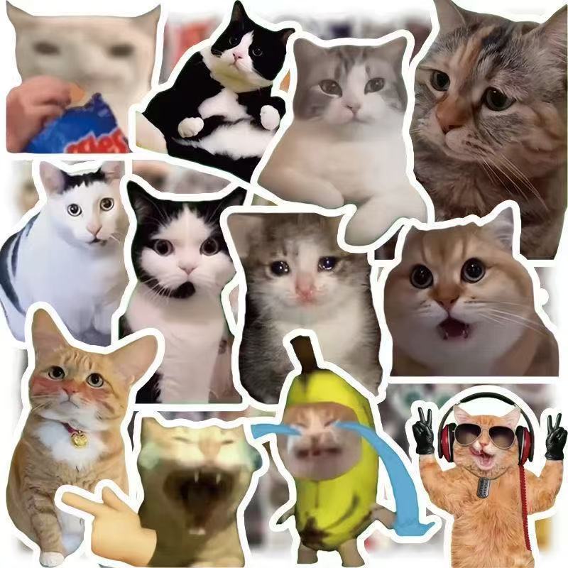 100 pçs engraçado bonito gato meme animais adesivos kawaii decalques scrapbooking notebook bagagem portátil skate adesivo brinquedo