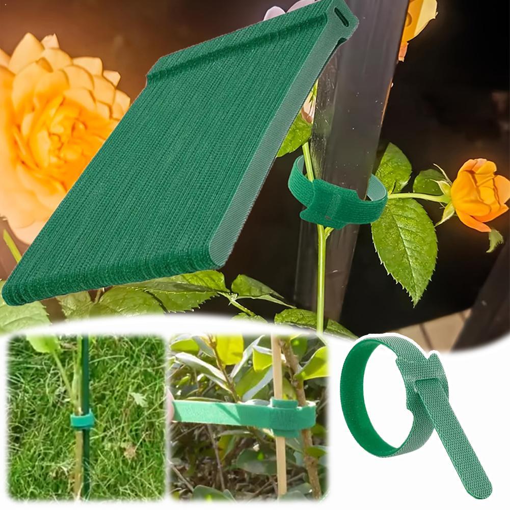 100 Stück wiederverwendbare Nylon-Pflanzenbinder, verstellbare, rutschfeste Klettverschlüsse für Kletterpflanzen, Gartensupport ﻿