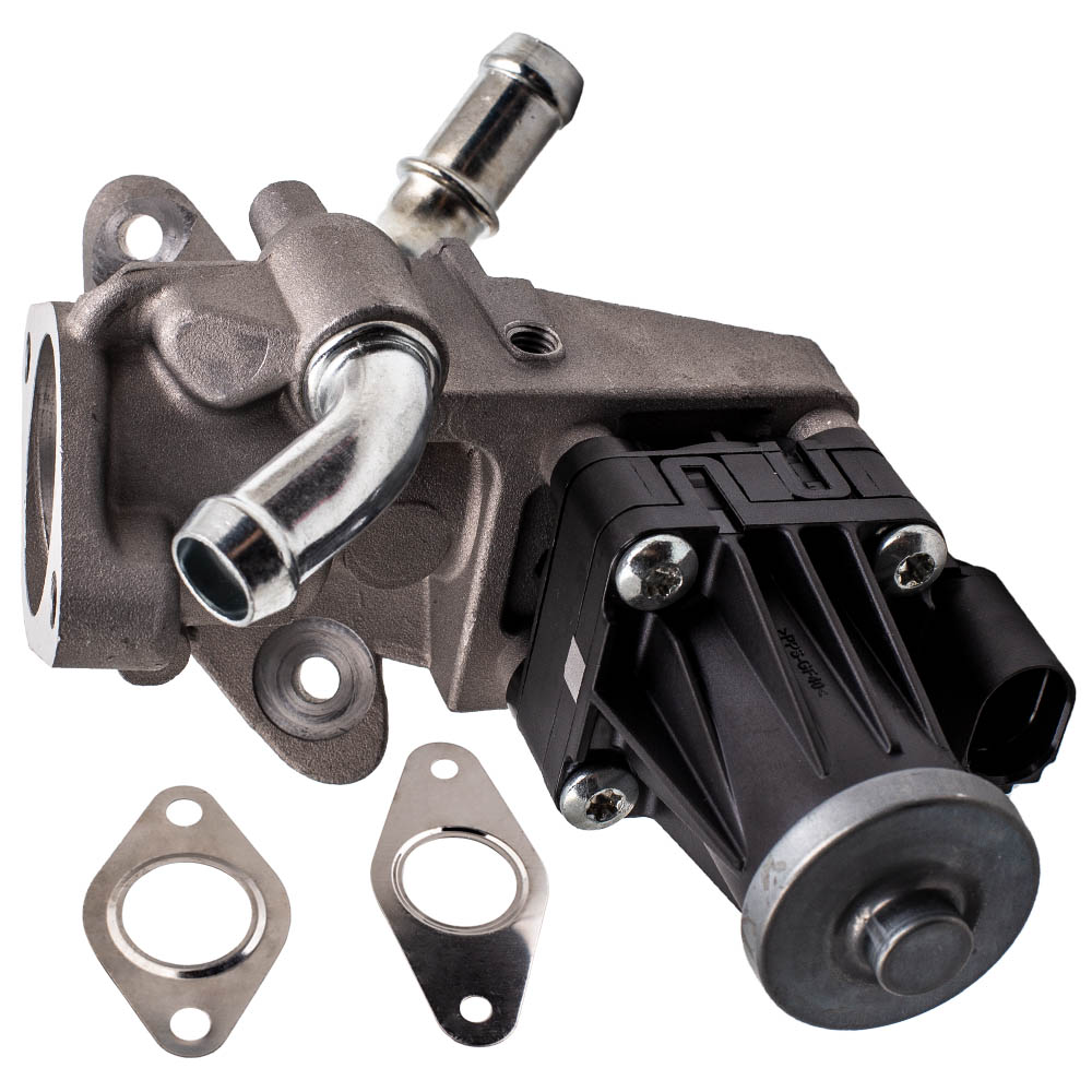 Katup EGR untuk Ford Ranger Transit /Peugeot Boxer /Citroen Relay Relay
